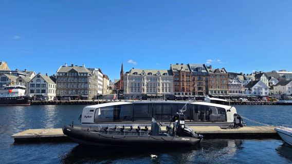 Haugesund: Electric Boat Tour with Guide