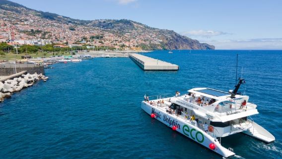 From Funchal: Ecological Catamaran Dolphin Whale Watching