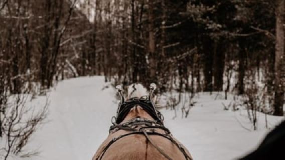 阿爾塔：北極鄉村雪橇之旅