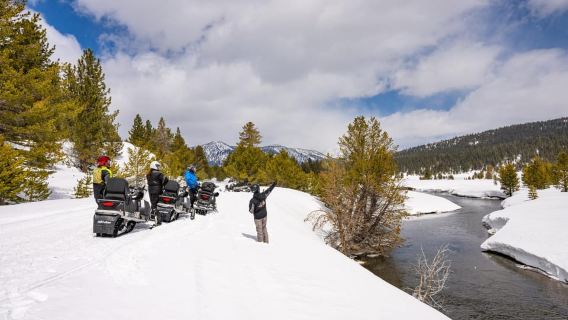 Lake Tahoe: Summit Snowmobile Tour with Scenic Views