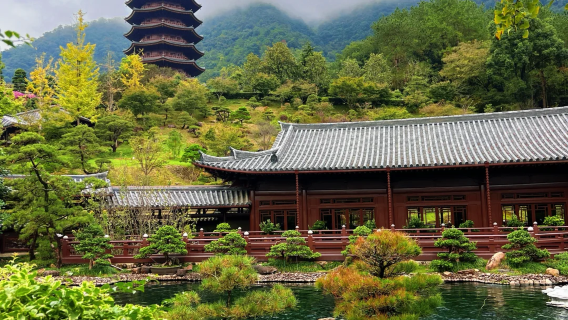 韶關雲門包車一日｜雲門山・雲門寺・楓葉｜禪景與美食同行