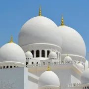 Exclusive From Dubai: Full-Day Sightseeing Tour in Abu Dhabi