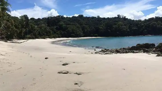 Manuel Antonio National Park Guided Tour