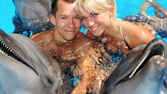 [Popular] Half‑Day Tour to Nemo Dolphin Park, Phuket