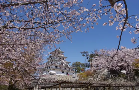 唐津城小學生、國中生