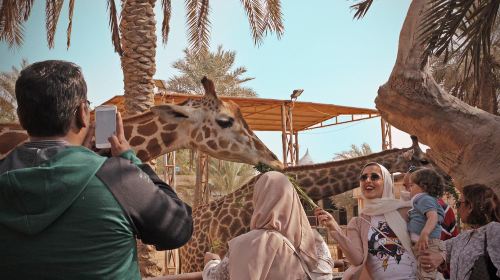 Abu Dhabi Attraction: Emirates Park Zoo Abu Dhabi Day Tours 3