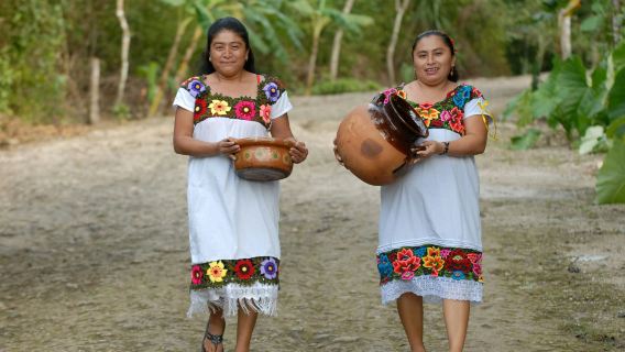 Cobá Ruins, Punta Laguna & Cenote: Guided Tour, Transfer from Tulum + Lunch