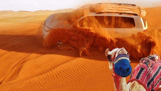 ทัวร์ 1 วัน ทะเลทรายแดงคุณภาพสูง + บริการรับส่ง + ขี่อูฐ + อาหารค่ำ + การแสดง + การวาดภาพด้วยมือ