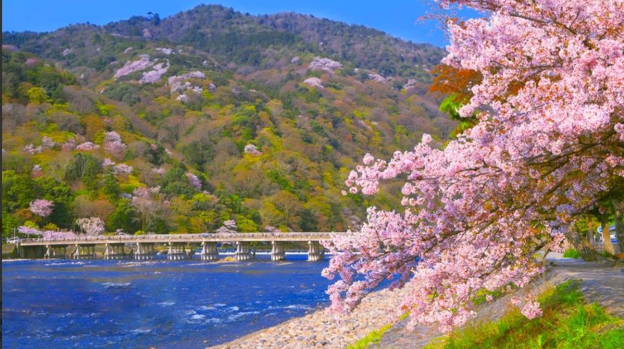 【京都嵐山&勝尾寺網紅美景打卡】一日遊