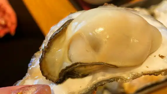 Japan Charter Tours | Itoshima Sakurai Shrine and the Couple Iwagaki House Gate Charter / Private Tours / Chinese/English