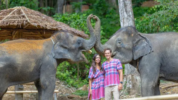 Phuket|Half-day Elephant Camp Tour: Nature Classroom & Close Elephant Interactions|Homemade elephant food/Feeding interaction/Mud SPA|Pick-up & drop-off at the hotel