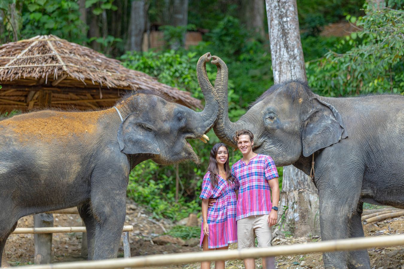 Phuket|Elefanten-Camp Halbtagesausflug: Naturklasse · Intime Interaktion mit Elefanten|Selbstgemachtes Elefantenfutter / Fütterungsinteraktion / Schlamm-SPA|Hoteltransfer