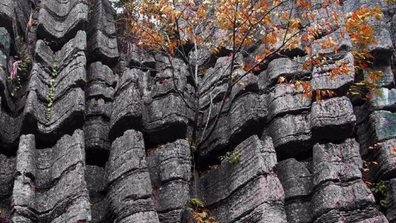 梭布埡石林一日遊（2人可成團、不早起、含景交）賓士保姆車
