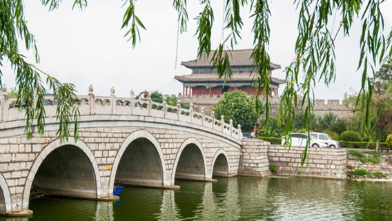 Mobil sewa kendaraan pribadi Shangqiu, pemandu wisata, penerjemah, pendamping lokal, penjemputan, pameran perjalanan, inspeksi bisnis, pendamping medis