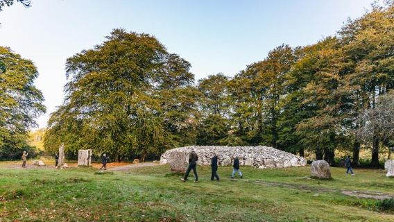 Dari Inverness: Tur Glen Affric, Culloden, dan Clava Cairns
