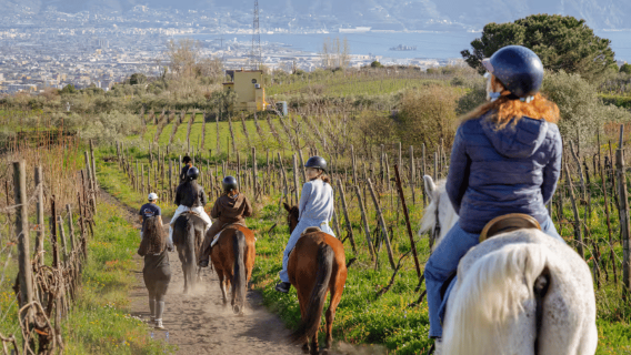 Pompeii: Ruins Tour and Mount Vesuvius Horseback Ride