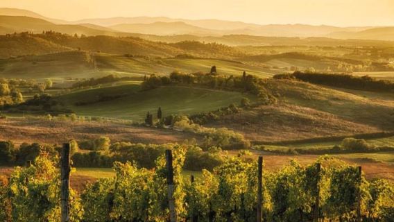 Da Siena: Tour del Chianti e dei Castelli con Degustazione di Vini