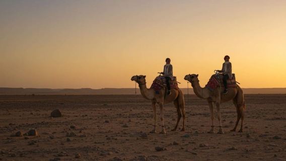 Marrakesch: Agafay-Wüstentour mit Quad- und Kamelritt und Dinner-Show