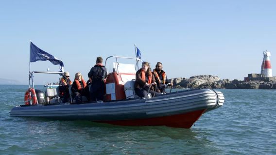 Tour guidato in barca nella baia di Dublino