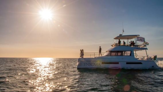 Le Cap : Croisière matinale avec Prosecco