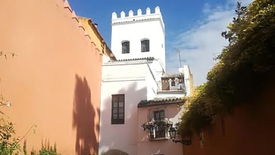 Siviglia: tour a piedi alla scoperta del quartiere medievale per piccoli gruppi