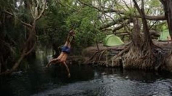 Arusha: cascate di Materuni, tour del caffè e sorgenti termali
