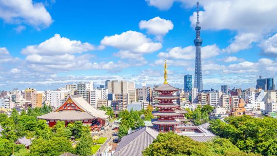 Tokyo City Day Tour [Optional Group/Charter Tour, Same Route as Kakala Tour]