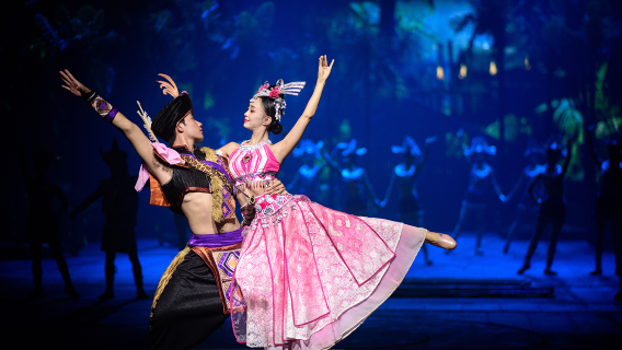 [하이난 싼야 데이투어] 천애해각&대소동천&송성가무쇼&녹회두 공원 or 야시장/노쇼핑, 노옵션/간식포함