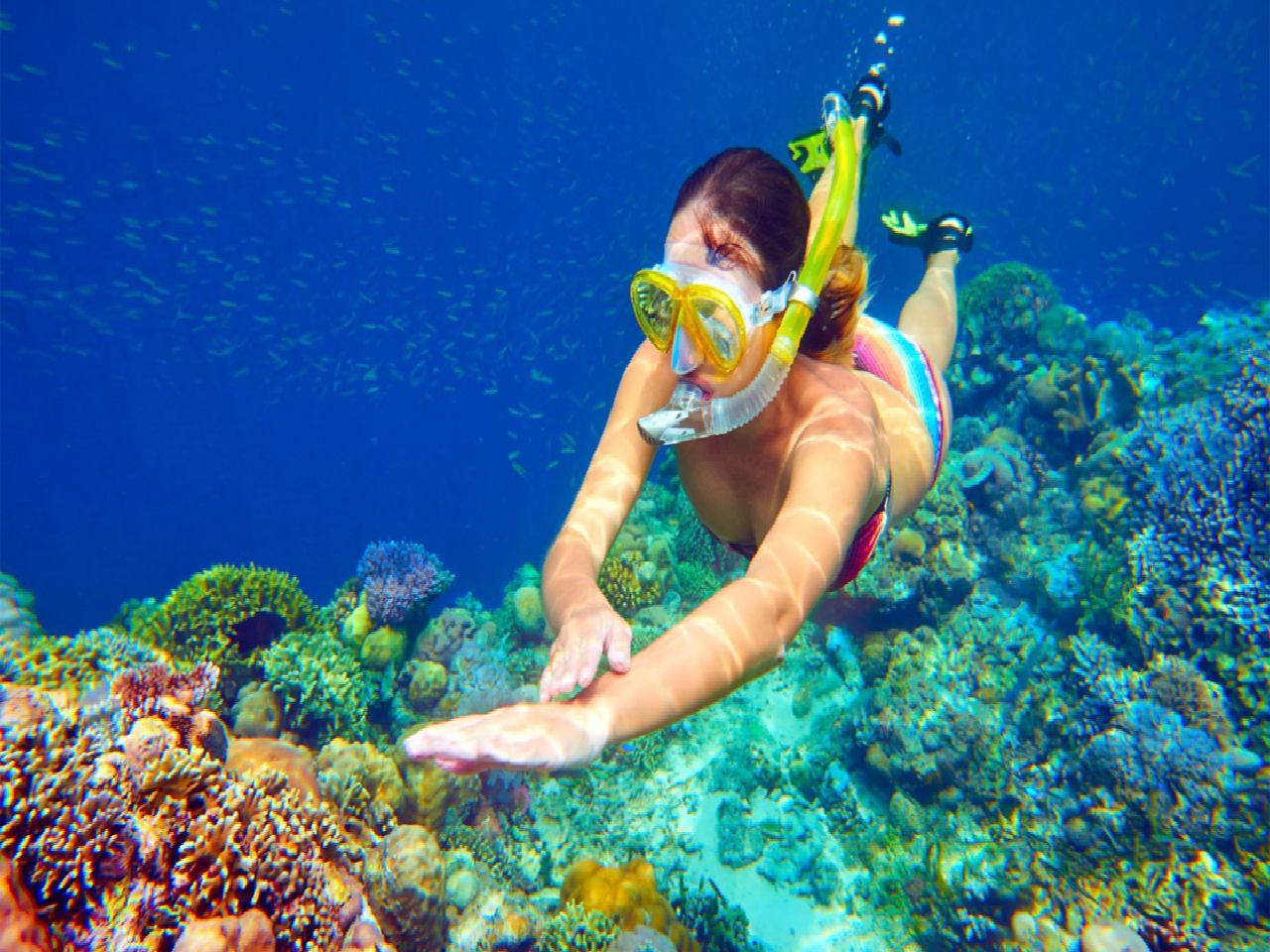 [from BALI] Snorkeling + Lunch + Return Boat Ticket + Private Transport