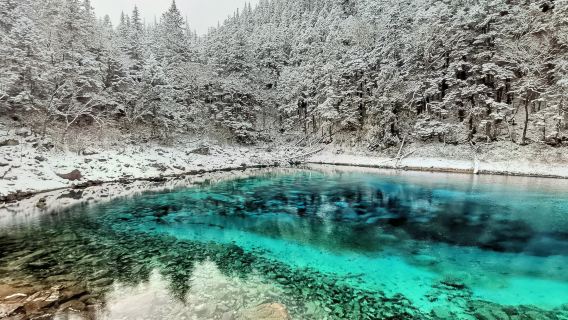 Guide anglophone : circuit terrestre de 6 jours Jiuzhaigou-Huanglong-Singes dorés-Siguniangshan