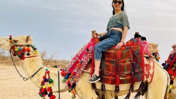 One hour Camel Ride At Amazing Desert With Transfer - Hurghada