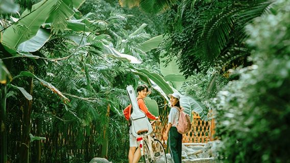 Partenza nel pomeriggio|Tour di un giorno a Xiamen [Crociera notturna sul fiume Lujiang + Giardino botanico + tour privato con guida dedicata]