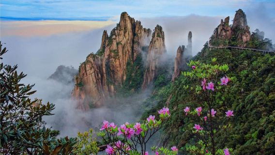 Berangkat dari Shangrao: perjalanan satu hari ke Sanqingshan