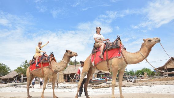 Paseo en camello por las playas de Bali – Una experiencia costera inolvidable