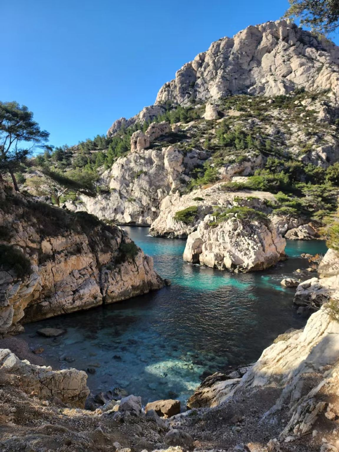 法國馬賽卡朗格峽灣觀景+馬賽老港+伊夫島+地中海博物館一日遊