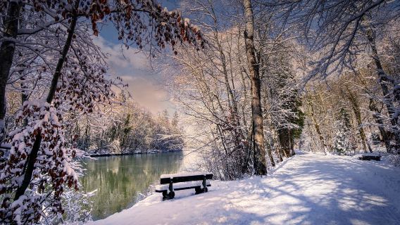 Bergen, Norway | Hardanger Fjord Day Tour [Fully Customizable]