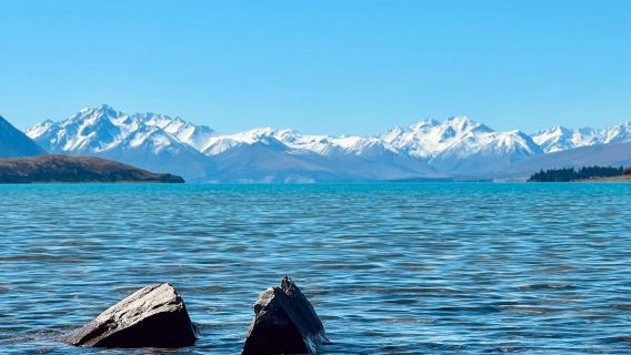 基督城包車一日遊：特卡波湖+好牧人教堂+庫克山探索冰川