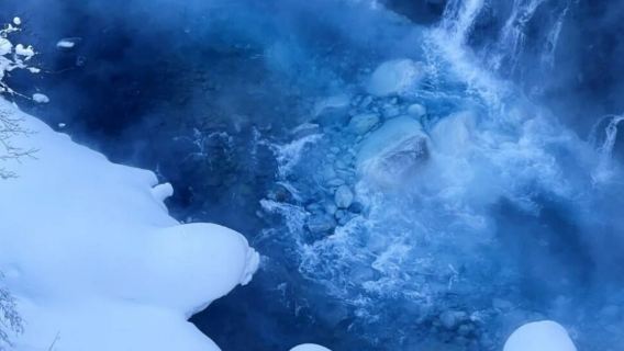 日本北海道+旭山+森林精靈陽台一日遊/行程可調-可訂製