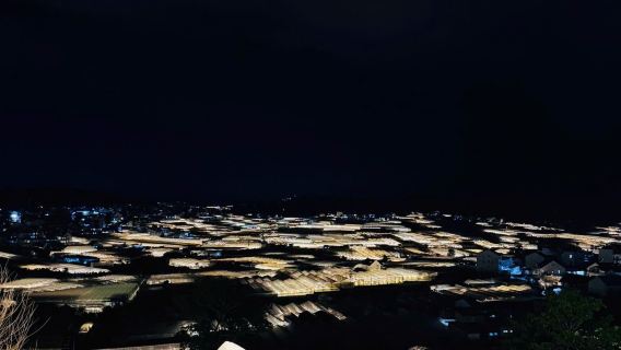 Da Lat Night Local Food & Sightseeing by Scooter