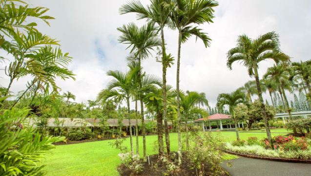 Sewaan Peribadi di Pulau Besar Hawaii, Amerika: Hawaii Tropical Botanical Garden + Gunung Berapi Mauna Kea | Boleh Disesuaikan※