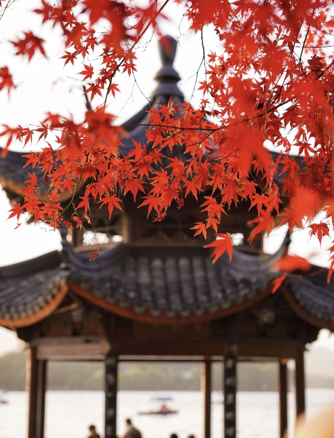 Hangzhou 1-Day Tour: West Lake Cruise with Island Visit + Su Causeway Stroll + "Hangzhou Songcheng Park" Song and Dance Show