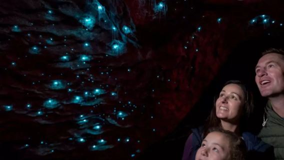 Tur Gua Kunang-Kunang Te Anau + Penjelasan di Queenstown, Selandia Baru