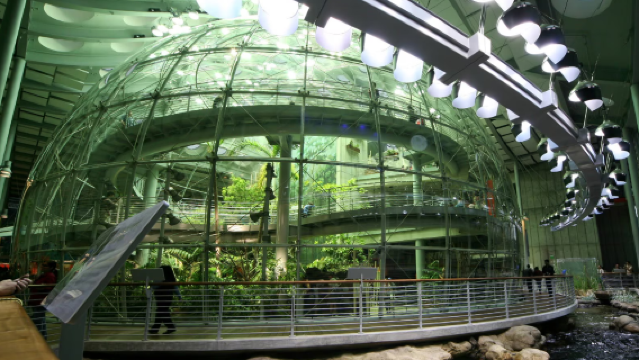 【美國舊金山】舊金山動物園+金門公園+雙峰+加州科學院