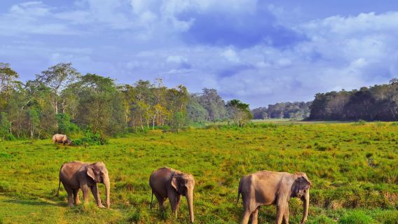 Paket Tur 6 Hari Nepal dengan Situs UNESCO Kathmandu, Penerbangan Gunung Everest & Safari Chitwan