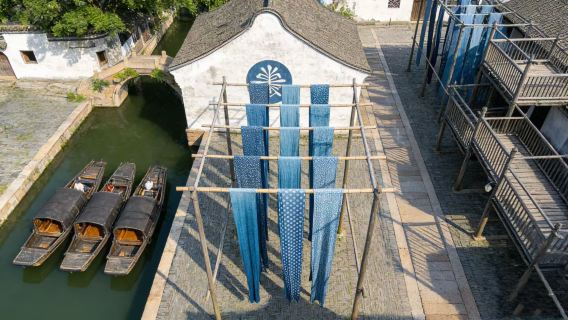 Однодневная поездка в водный городок Учжэнь из Шанхая в обе стороны|CITS × ZANBUS