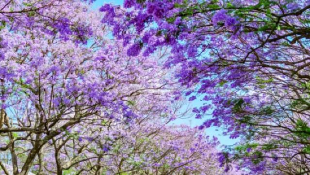 雲南市區一日遊（西山景區）