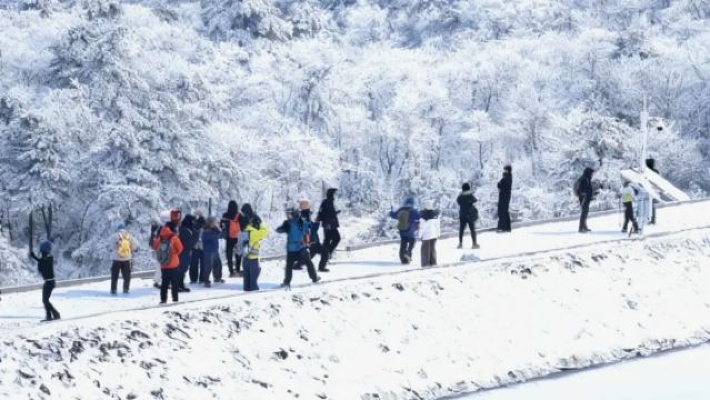 Day Tour: Snow Forest Hiking + Snow Dragon Ride + Ice Fishing + Snow Tubing + Sika Deer Park