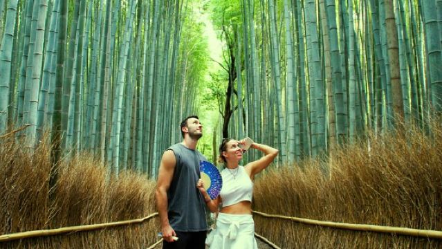 Kyoto: Arashiyama Bamboo Forest, Monkeys, Matcha & Temple
