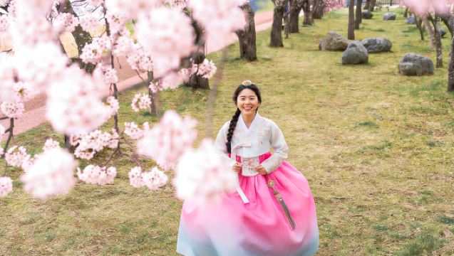 Partenza da Seul | Tour di un giorno al Villaggio Hanok di Jeonju + Fiori di primavera al Santuario Hyunchung