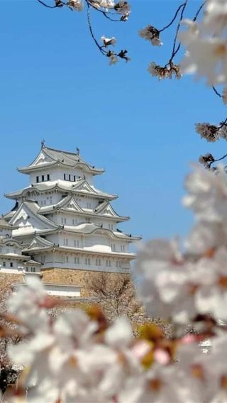 Japan's "Jiuzhaigou" + Nagoya Walking Kamikochi 1-Day Tour | Booking from 1 person with multilingual support